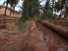 Adrar / Algeria