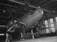 ARC-1943-AAL-4952