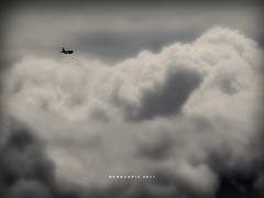 B732 (6428851425) B732 (6428851425)