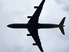 A343 planform