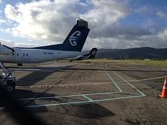 NZ Q300s on the ramp at PPQ (17604251788)