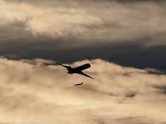 CRJ900 and 1 more (6289222974)