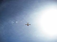 A plane in the sky