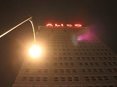Alico Alico