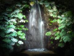 Jardin botanica Malaga