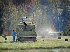 Farm Agri 11.2.12