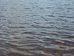 ClearFreshWater1