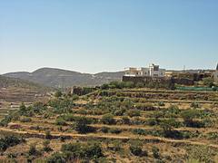 Abha- Saudi Arabia - on the way to Al Sawda