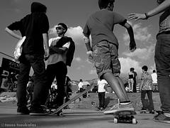 ''skate park rules'' ''skate park rules''