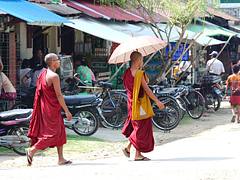 IMG4093/Burma/Sittwé/Monk in the street