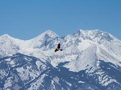 IMG_0566a