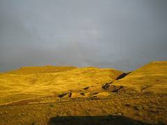 Typical southern Washington landscape