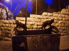 Citizens of Amman