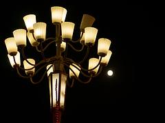 Mid-Autumn's Moon