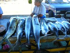 Apia Fish Market