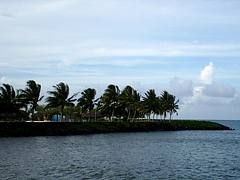 Apia