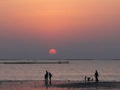 Sea Sunset