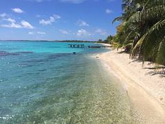 IMG-20140817-WA0002