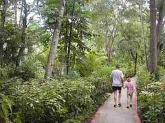 Casuarina Garden Casuarina Garden