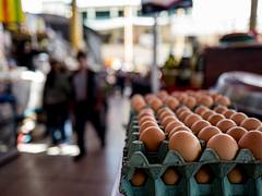 Eggs for sale!