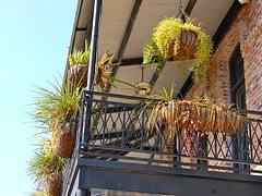 Historic Downtown New Iberia, LA.