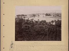 Assiut
