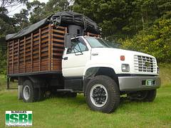 Guntruck Camion Nimetizado
