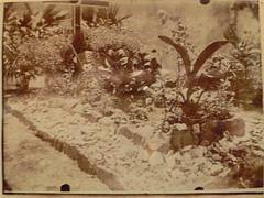 Tomb of French painter Paul Gauguin on Hiva Oa island in the Marquesas French Polynesia ?