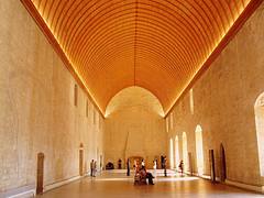Pope Palace Avignon France Pope Palace Avignon France
