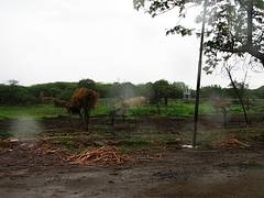 Victoria Park Bhavnagar