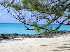 Beach on Bimini Island Beach on Bimini Island