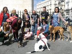 6 meses de cárcel e inhabilitación de 3 años por maltrato animal 6 meses de cárcel e inhabilitación de 3 años por maltrato animal