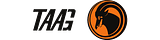 TAAG Angola Airlines