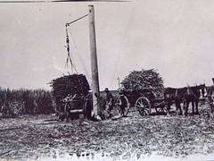 Loading derrick for sugar cane, Bundaberg, Australia - circa 1910