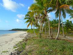 Badu Island Lilly Beach Badu Island Lilly Beach