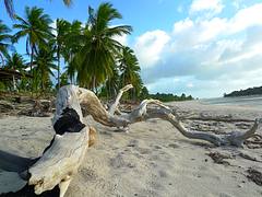 Badu Island Lilly Beach Badu Island Lilly Beach