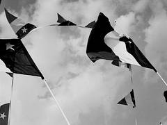 Drapeaux Acadiens