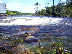 Momento "Natureza"