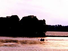 Shimmering Waters during sunset at the Bhojtal, Madhya Pradesh (India)