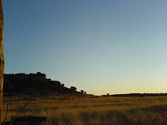 Veld