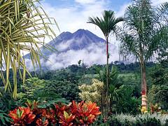 Costa Rica... No artificial ingredients!