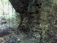 Biak na Bato