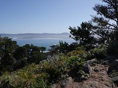 Point Lobos State Reserve Point Lobos State Reserve