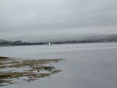 running for port as the rain sweeps in