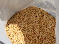 A sack of split peas awaits distribution at a joint WFP/ACTED site in central Bamako, Mali