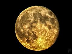 Golden Moon