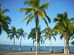 Porto Seguro - BA