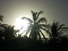 Fim de tarde