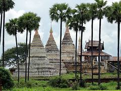 Bagan Temples under Palm Trees