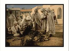 Market Biskra Algeria Market Biskra Algeria